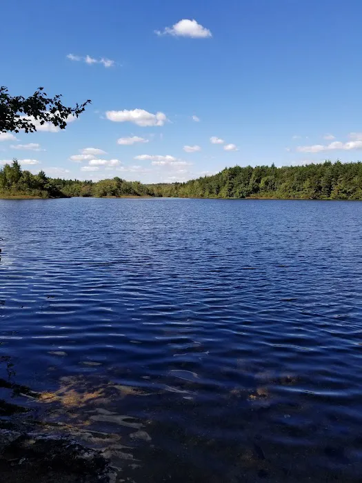 Jaggers Point Campground Picture 7