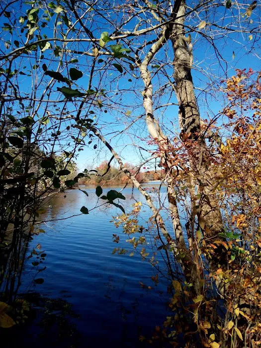 Jaggers Point Campground Picture 4