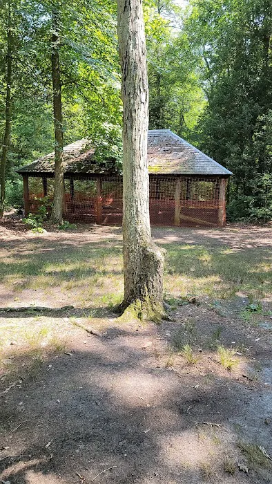Parvin group camp parking Picture 8