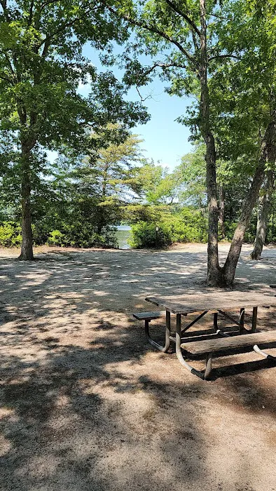 Parvin group camp parking Picture 6