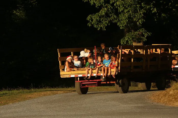 Old Cedar Campground Picture 1
