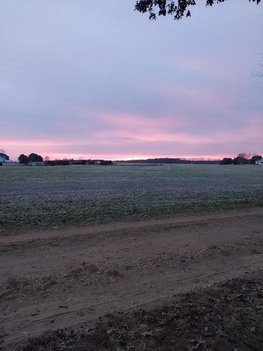 Holly Green Camping Grounds Picture 3