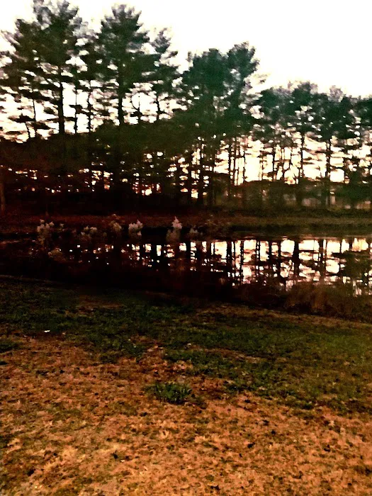 Holly Green Camping Grounds Picture 4
