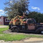 Buttonwood Campground