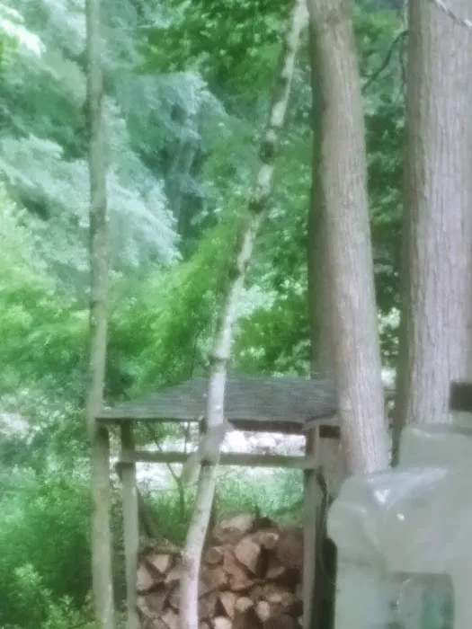 Perry County Recreation Association Picture 9