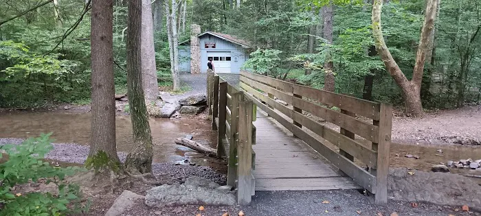 Little Buffalo State Park Campground Picture 4