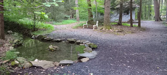 Little Buffalo State Park Campground Picture 6
