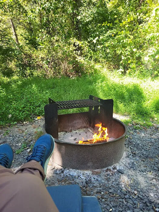 Little Buffalo State Park Campground Picture 10