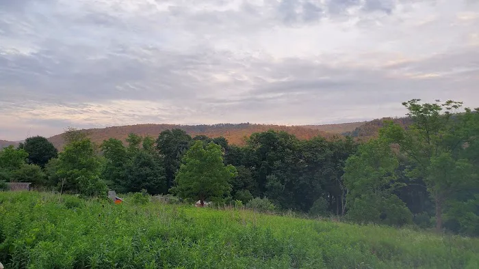 Dennis Alan Camping Picture 6