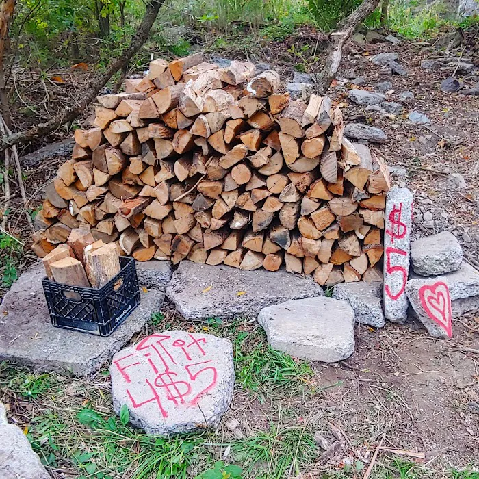 Dennis Alan Camping Picture 5