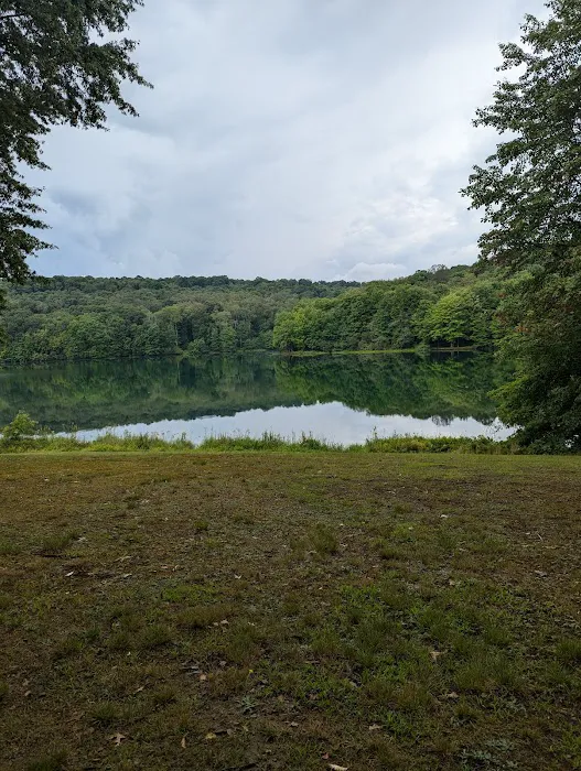 Two Mile Run Campground Picture 9