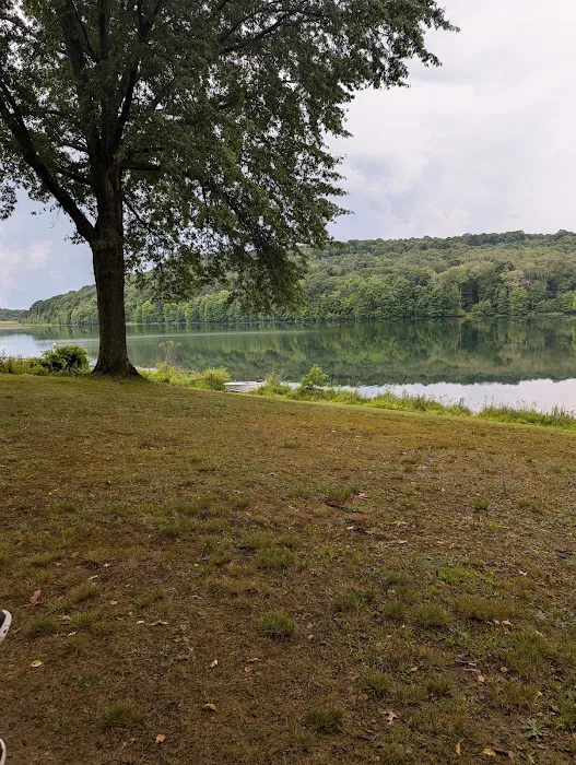 Two Mile Run Campground Picture 10