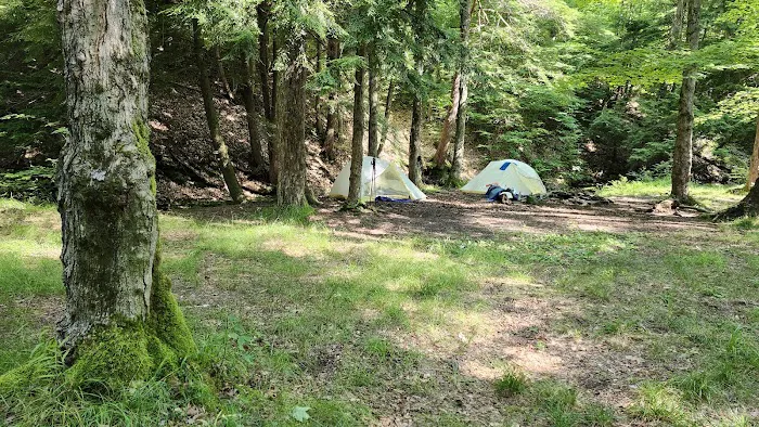 Minister Creek Campground Picture 8
