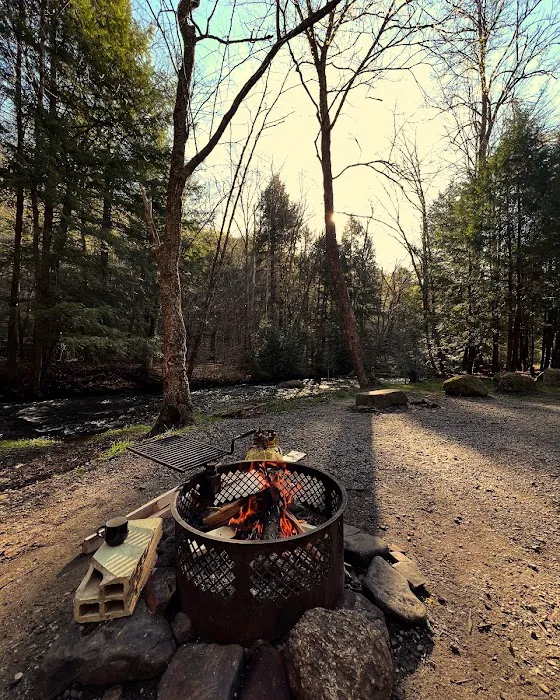Minister Creek Campground Picture 3