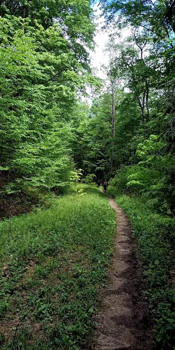 Minister Creek Campground Picture 1