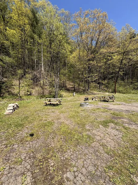 Old School Campground Picture 10