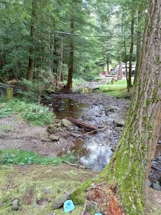 Whispering Winds Campground and Cabins Picture 6