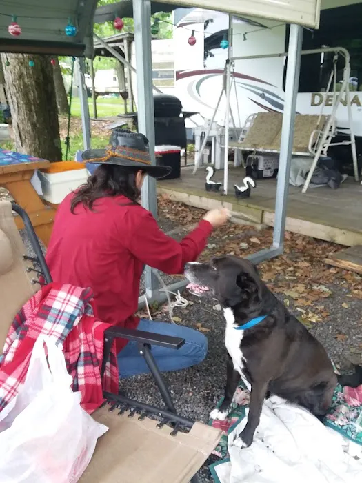 Lost Acres Camping Resort/Eatery Picture 7