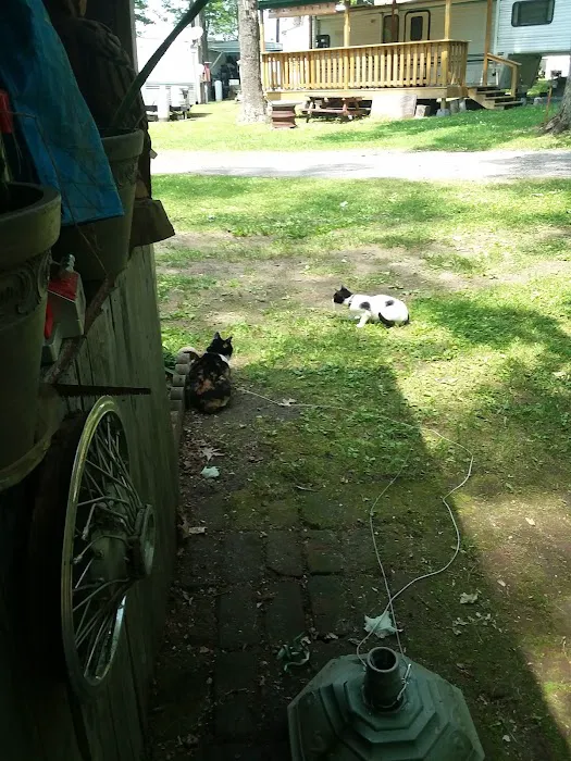 Lost Acres Camping Resort/Eatery Picture 3