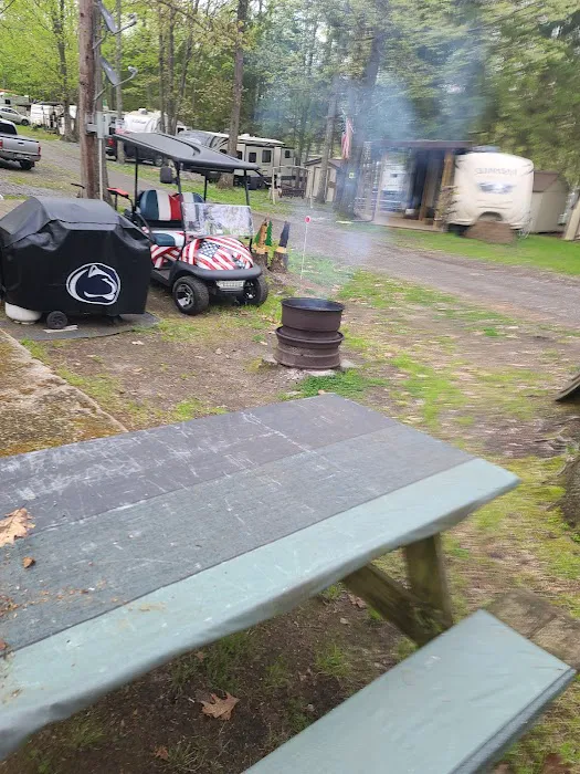 Haneyville Campground Picture 3