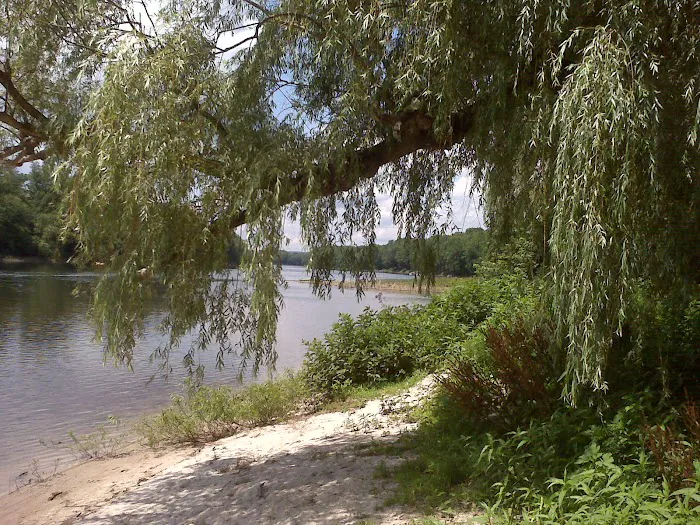 A1 Susquehanna Campground Picture 10