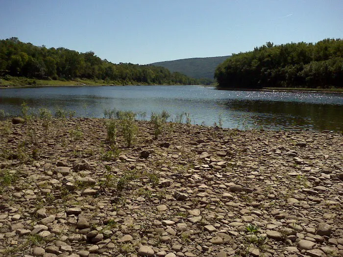 A1 Susquehanna Campground Picture 9