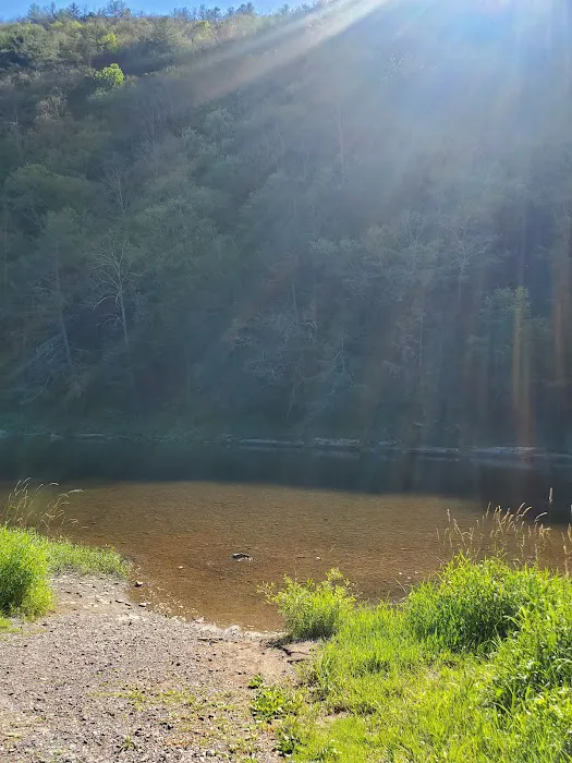 Black Walnut Bottom Campground Picture 1