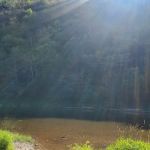 Black Walnut Bottom Campground