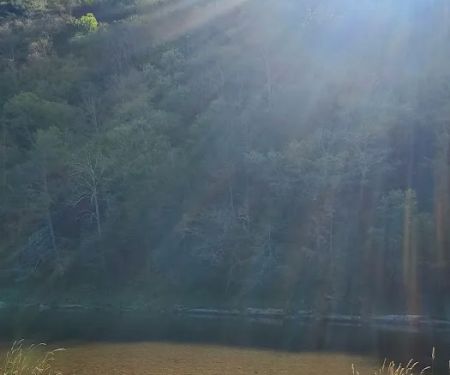 Black Walnut Bottom Campground