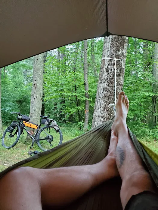 Black Walnut Bottom Campground Picture 9