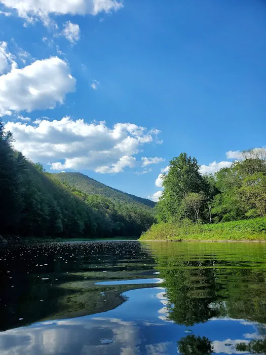 Black Walnut Bottom Campground Picture 6