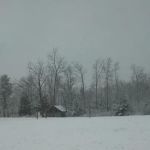 Mount of Blessing Camp