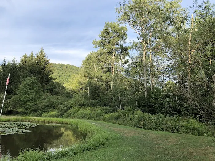 Cady Hollow Campground Picture 5