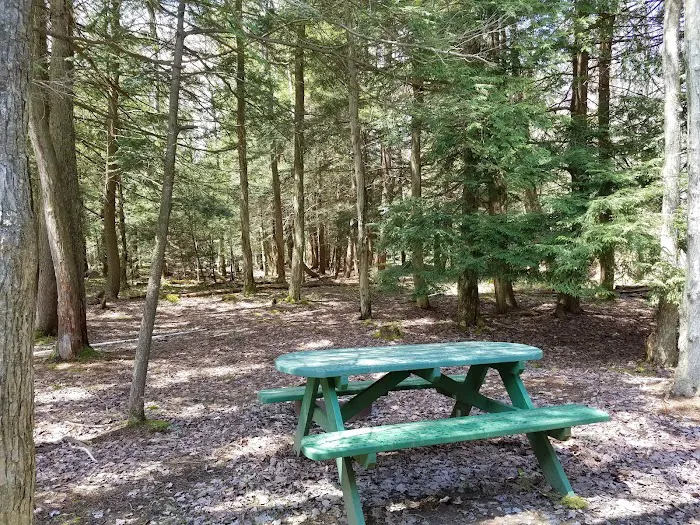 Potter County Family Campground Picture 1