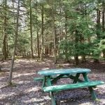Potter County Family Campground