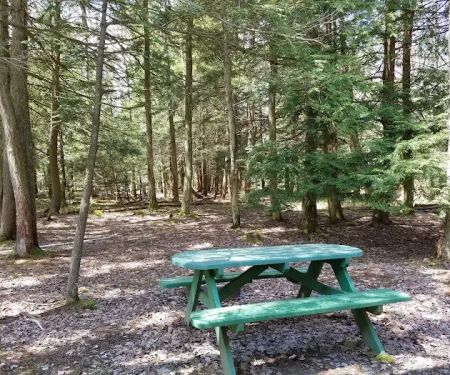 Potter County Family Campground