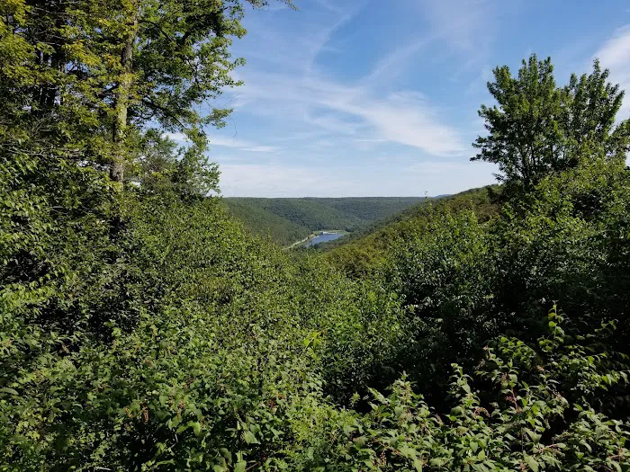 Potter County Family Campground Picture 5