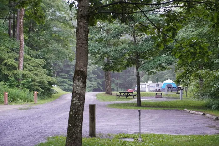 Lyman Run Daggett Campgrounds Picture 1