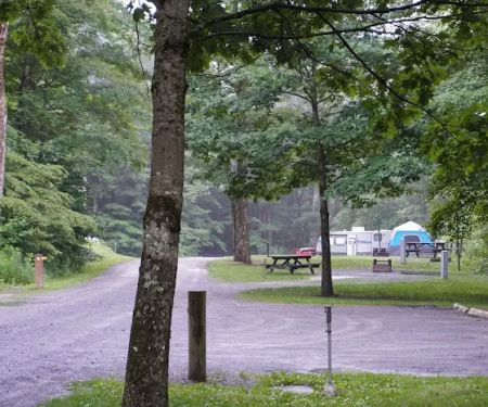 Lyman Run Daggett Campgrounds
