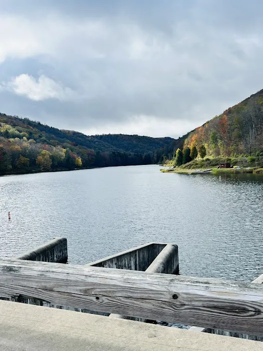 Lyman Run Daggett Campgrounds Picture 6