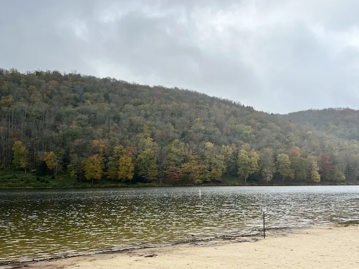 Lyman Run Daggett Campgrounds Picture 3