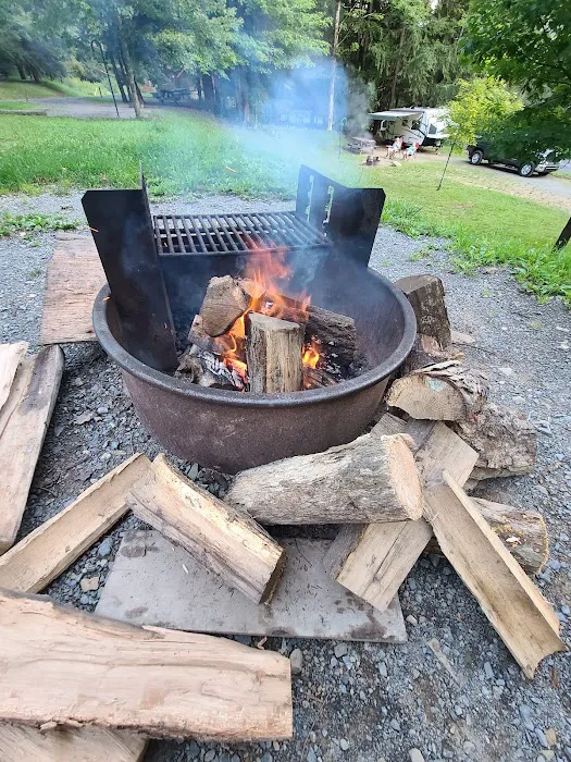 Lyman Run Lower Campgrounds Picture 8