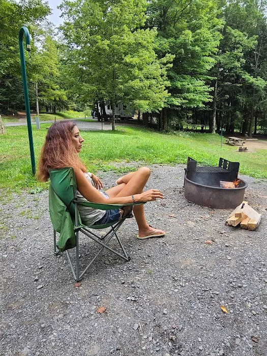 Lyman Run Lower Campgrounds Picture 7