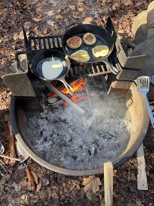 Lyman Run Lower Campgrounds Picture 10