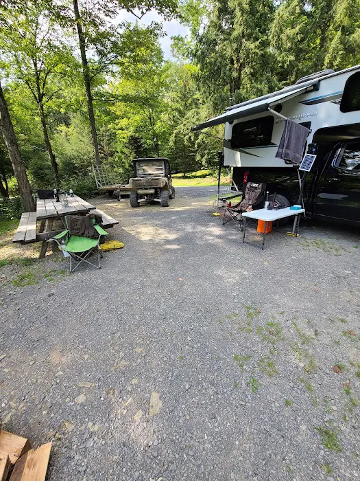 Lyman Run Lower Campgrounds Picture 4