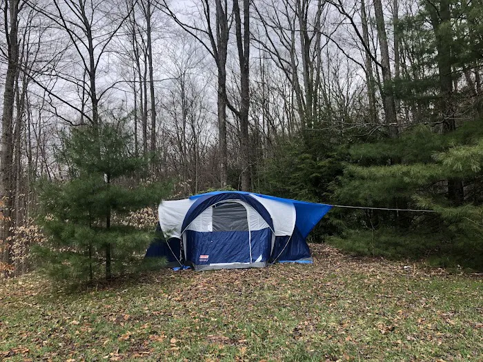 Rauch Road Gas Well Campsite Picture 4