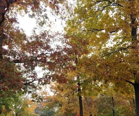 Lancaster / New Holland KOA Journey