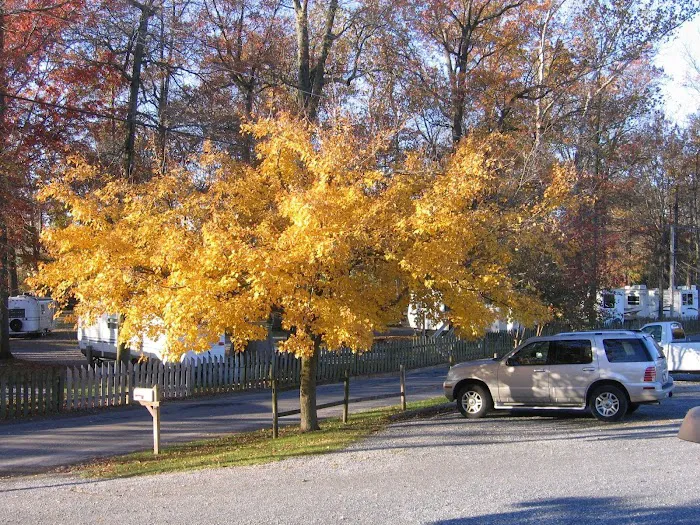 Red Run Resort & Campground Picture 6