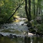 Adventure Bound Camping Resorts - Oak Creek