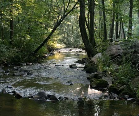 Adventure Bound Camping Resorts - Oak Creek